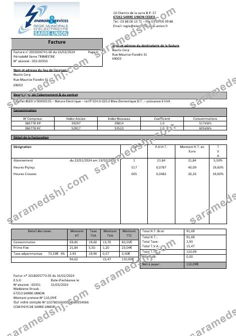 France Energies & Services Régie Municipal d’ Electricité Sarre-Union electricity business utility bill template in Word and PDF formats, fully editable1